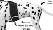 Get Realtime Location Update w/ Pet Tracker GPS Tracking Collars for Dogs Size:S