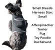 Get Realtime Pet Locations w/ Pet Tracker Mini Cat Dog GPS Tracking Collar Size:L
