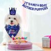 Dog Birthday Party Supplies, Boy Dog Birthday Bandana Set with Cute Dog Bowtie, Scarf