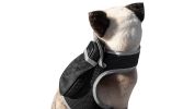 Get Realtime Pet Locations w/ Pet Tracker Mini Cat Dog GPS Tracking Collar Size:L